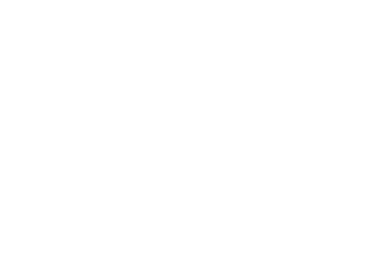 VIIIEdition-AsconaFilmFestival-2019.png
